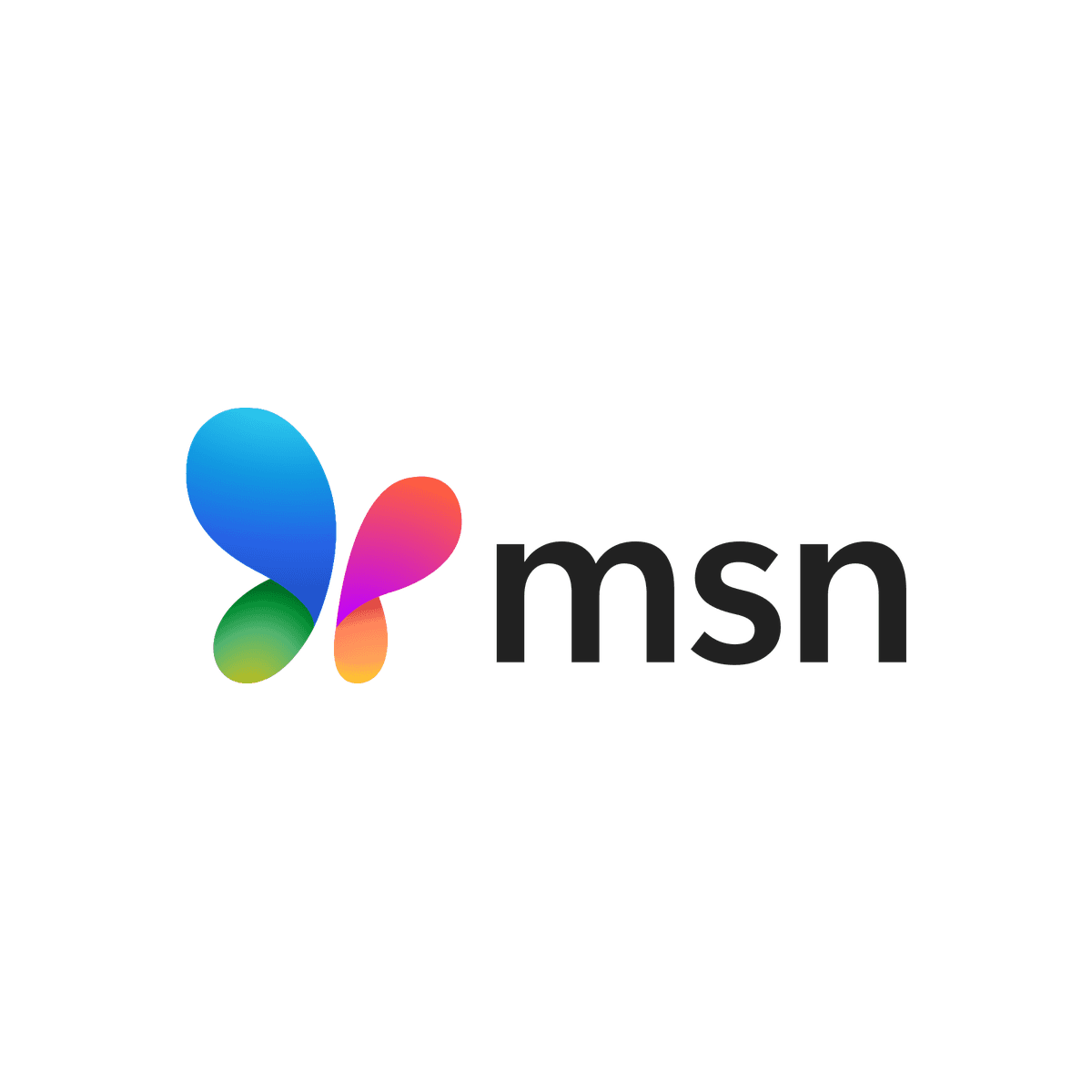 MSN logo