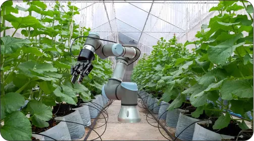 Agriculture