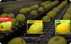 Agriculture & Agritech