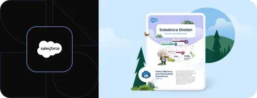 Salesforce Conversational AI