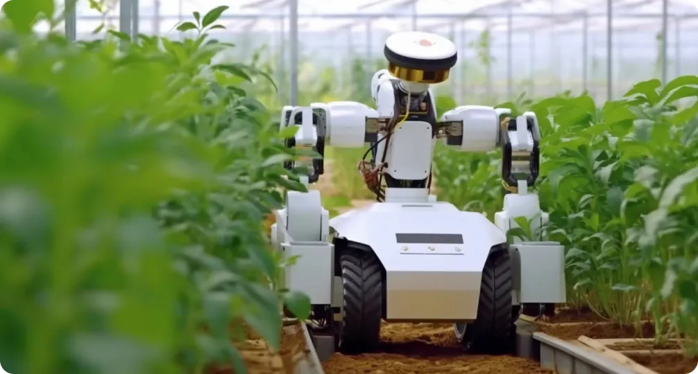 AI for Agriculture