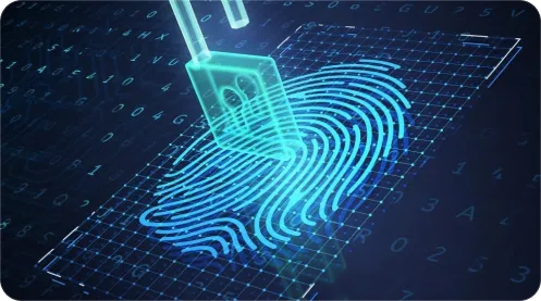 Self-Sovereign Identity Networks